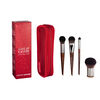 Eclectic Brushes - Limited Edition Set